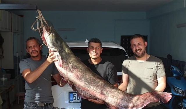 Kızılırmak'ta 190 Santimetre Boyunda Yayın Balığı Yakalandı