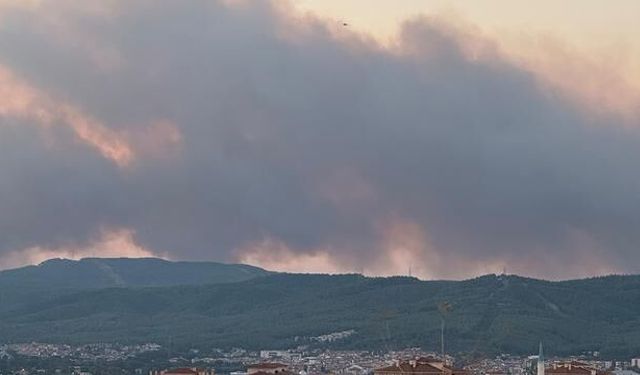 Muğla Menteşe'de Orman Yangını: Ekipler Hızla Müdahale Ediyor