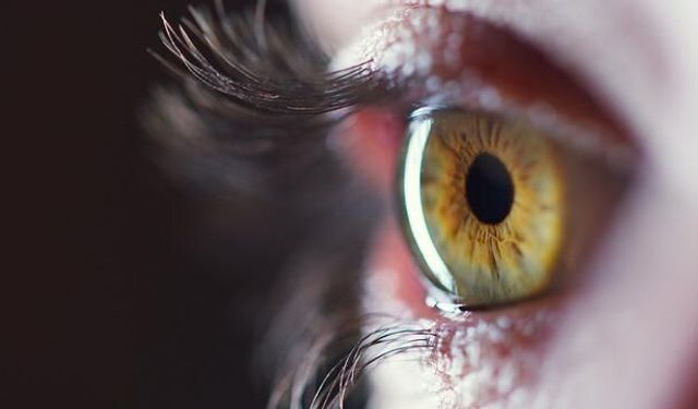 Sonbahar Mevsimi Göz Sağlığını Olumsuz Etkiliyor: Uzmanlardan Korunma Önerileri