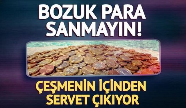 Trevi Çeşmesi'nden Yıllık 1,5 Milyon Euro Gelir Elde Ediliyor