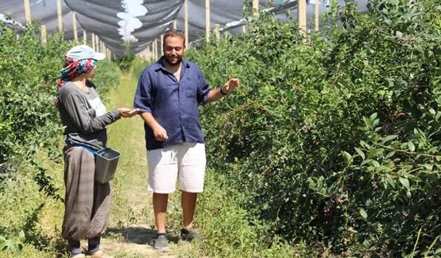 Yaban Mersini Üretiminde Türkiye'nin Yükselen İsmi Serkan Koloğlu