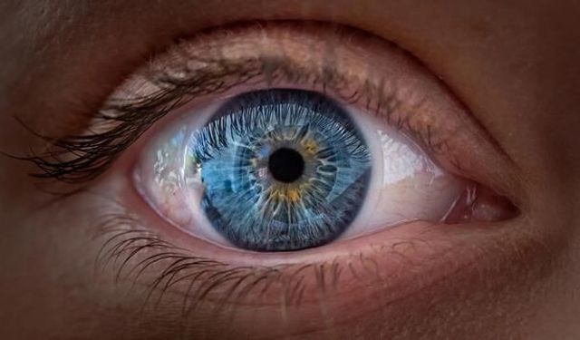 Yapay zeka destekli retina taraması gizli hastalıkları ve biyolojik yaşlanmayı ortaya çıkarıyor