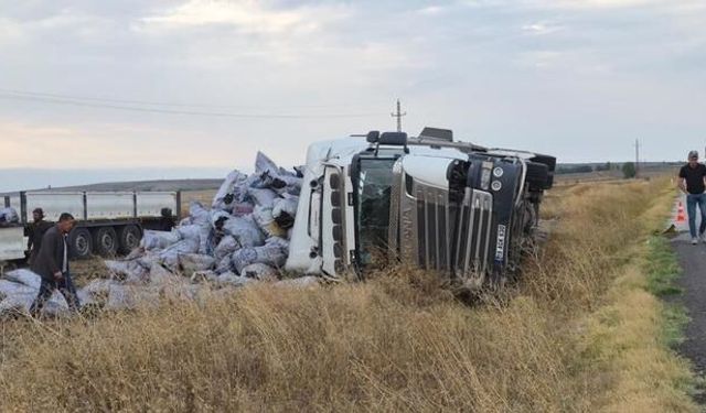 Yozgat'ta Meşe Kömürü Taşıyan Tır Devrildi, Sürücü Yaralandı