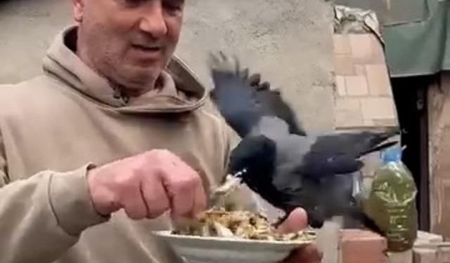 4 Yıldır Beslediği Kargasına Elinden Balık Verdi