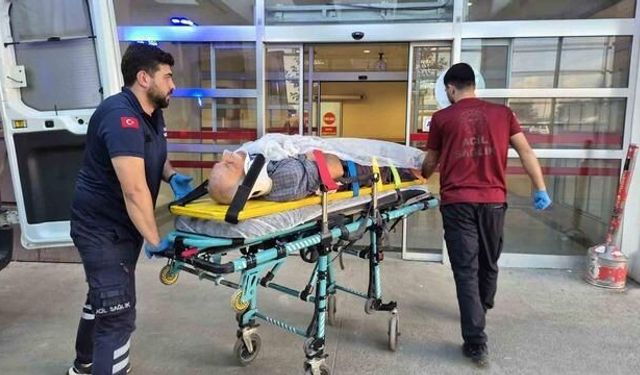 Adıyaman'da ağaç keserken düşen 70 yaşındaki adam yaralandı