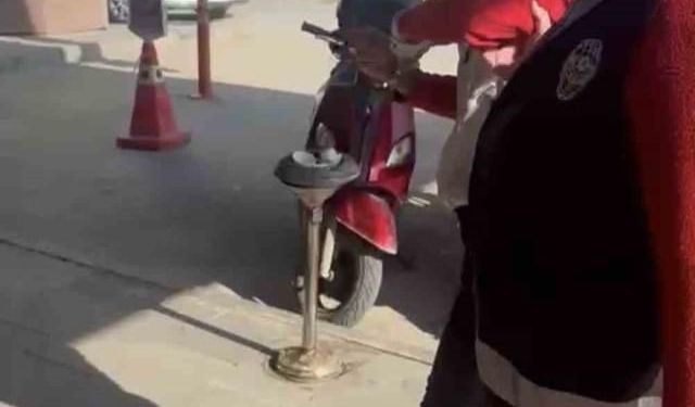 Adıyaman'da kediye taş atan kadın gözaltına alındı