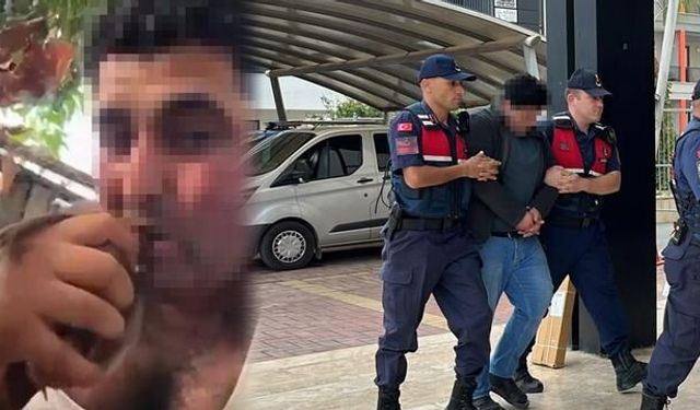 Alanya'da kuşlara işkence eden kişi tutuklandı