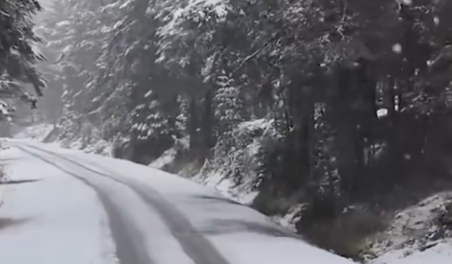 Bolu'nun Yüksek Kesimlerinde Kar Yağışı Görüntüleri