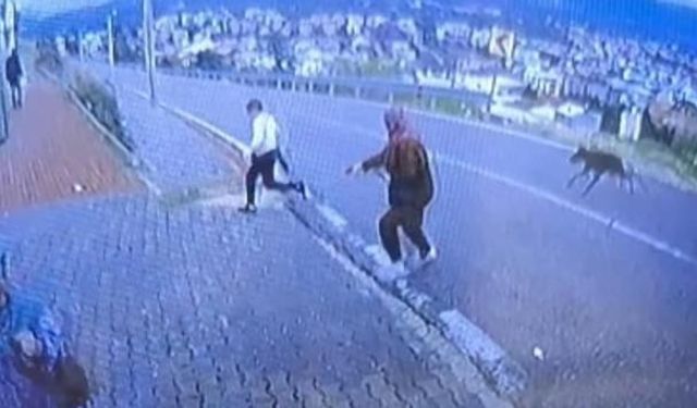 Bursa Orhangazi'de Köpeğin Saldırısı Sonrası Çocuk Bacağını Kırdı
