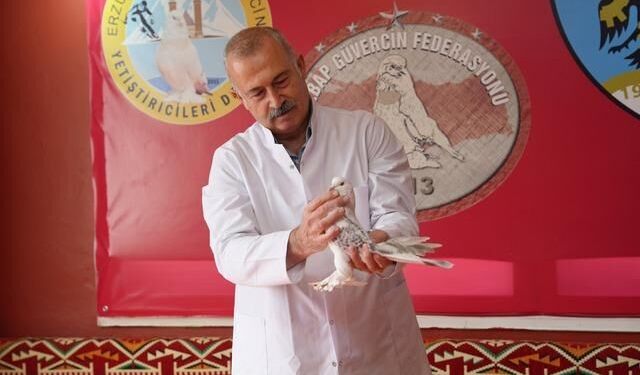 Erzurum'da emekli başçavuş güvercinleri için 3+1 ev kiraladı