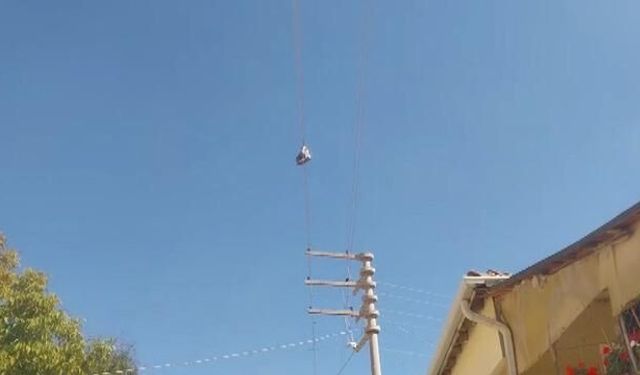 Eskişehir'de Yıllardır Elektrik Telinde Asılı Kalan Botlar Merak Uyandırıyor