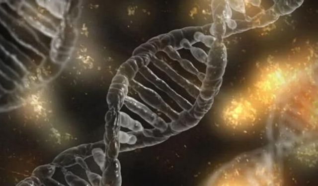 Genetik risklerin etkisini yaşam tarzıyla azaltmak mümkün