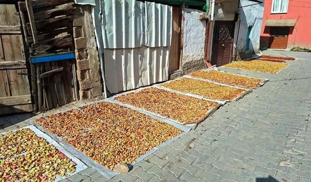 Hisarcık'ta elma kurusu fiyatları geçen yıla göre düştü