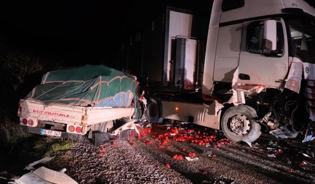 İnegöl'de Tır ile Kamyonet Çarpıştı: 2 Kişi Ağır Yaralandı