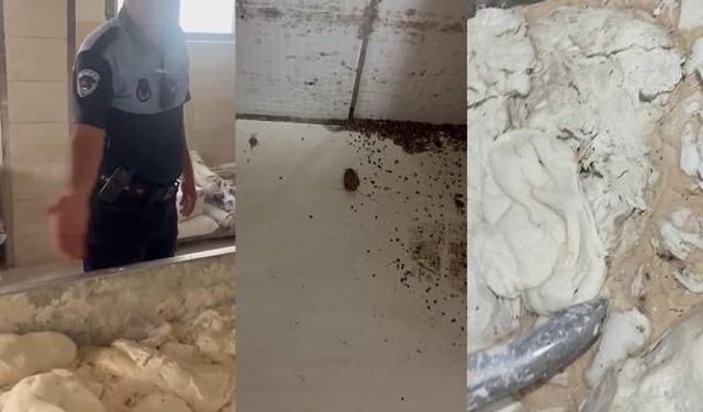 İskenderun'da hijyen kurallarına uymayan fırında hamam böceği ve sigara izmaritleri bulundu