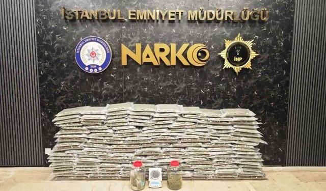 İstanbul ve Kocaeli'de 100 kilo skunk ele geçirildi, 2 kişi gözaltında