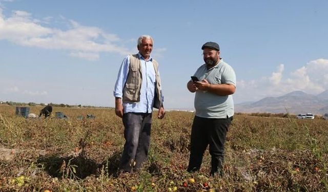 Kayseri'den 20 Ülkeye Kuru Domates İhracatı Yapılıyor
