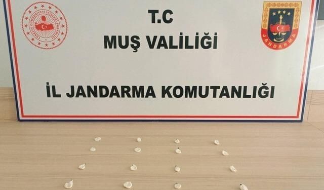 Muş'ta jandarma ekipleri 19 uyuşturucu olayına müdahale etti