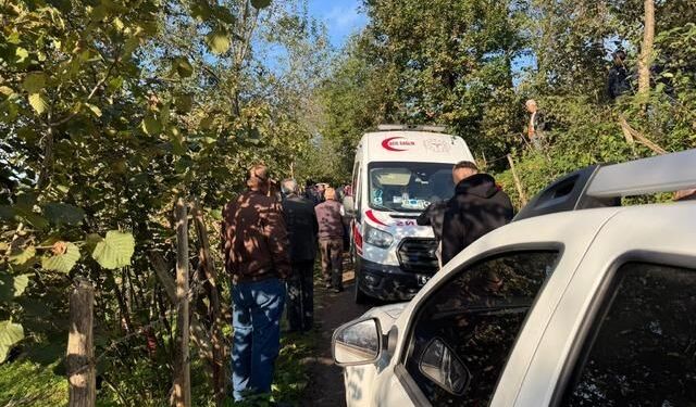 Ordu'da yol verme kavgası sonrası yaşanan silahlı ve bıçaklı saldırılarda 2 kişi hayatını kaybetti