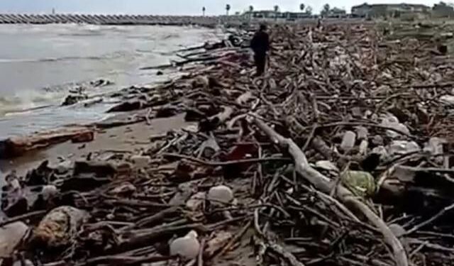 Sakarya Nehri'nden Taşınan Dal ve Çalılar Karasu Sahilinde Birikti