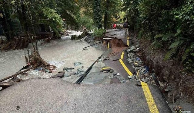 Sakarya Sapanca'da Sel Ağaç ve Elektrik Direklerini Devirdi