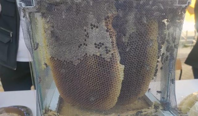 Sason'da 1 kilogram bal 400 bin liraya satıldı, bedeli üreticilere çek olarak verildi