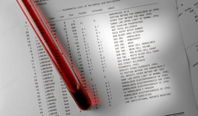 Uzmanlardan uyarı: Tahlil sonuçlarını yapay zekaya yorumlatmak sağlık riskleri doğurabilir