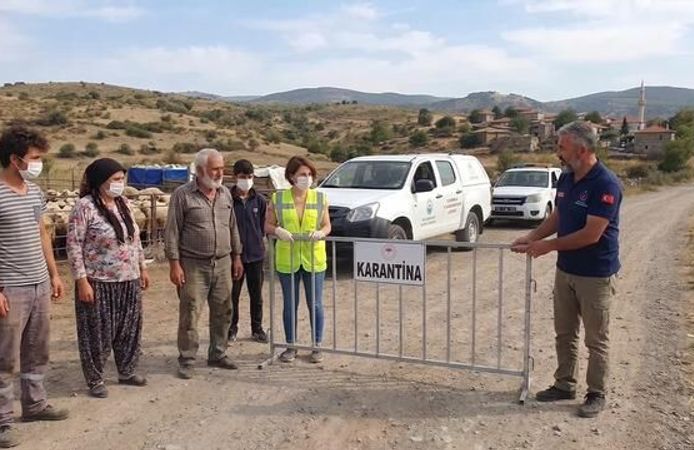 Bergama'da Mavi Dil Hastalığı Nedeniyle 15 Mahallede 40 Günlük Karantina Başladı