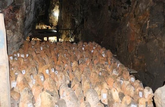 Karaman'da 6 ay mağarada olgunlaştırılan Divle Obruk Peyniri satışa sunuluyor