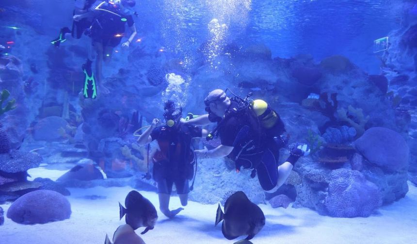 Engelliler, su altı dalışı yaparak yeteneklerini sergiledi