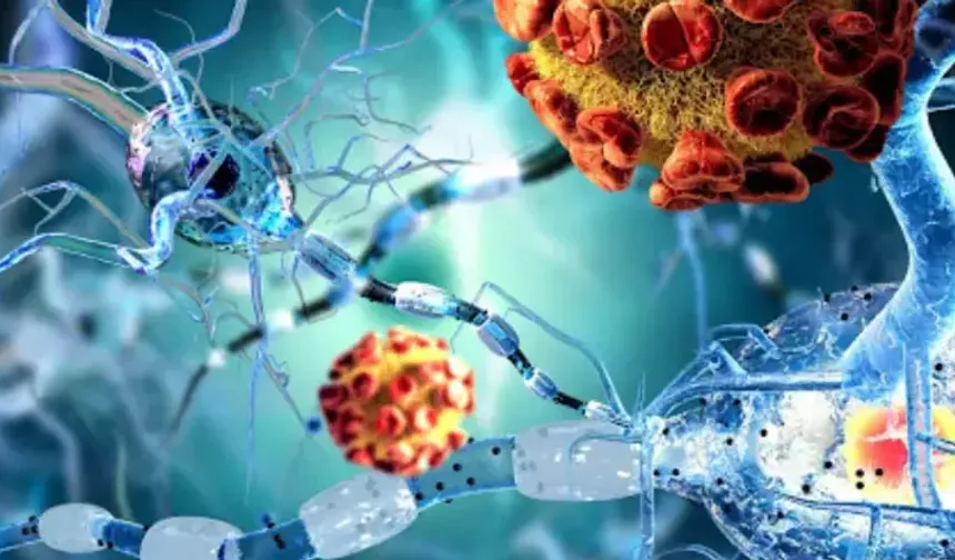 Kök Hücre Tedavisi Hangi Hastalıklarda Kullanılıyor? Bilim Ne Diyor?