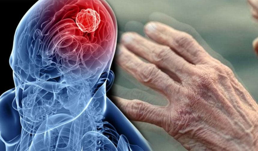Parkinson Hastalığında Kök Hücre Umudu: İlk Sonuçlar Olumlu