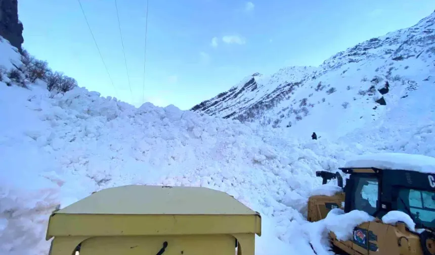 Şırnak'ta Çığ Felaketi: 4 Köy Yolu Ulaşıma Kapandı