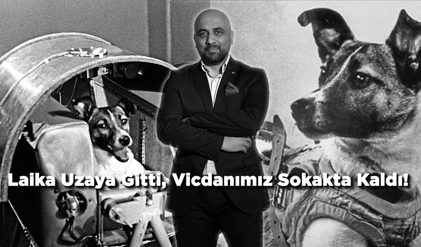 Laika Uzaya Gitti, Vicdanımız Sokakta Kaldı!