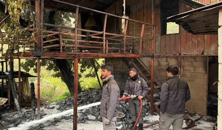 Alanya'da Müstakil Evde Çıkan Yangın Korku Yarattı