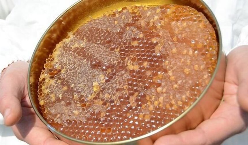 Bal Tebliği'nde Yeni Düzenleme: Uygunsuz Ürünlerin Piyasaya Girişi Zorlaşacak