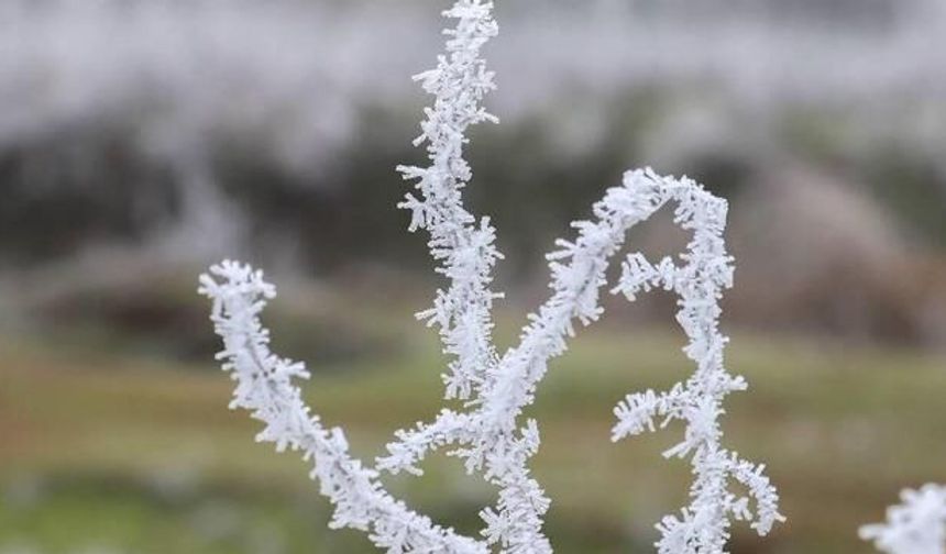 Çankırı'da 10-14 Nisan Tarihlerinde Zirai Don Uyarısı