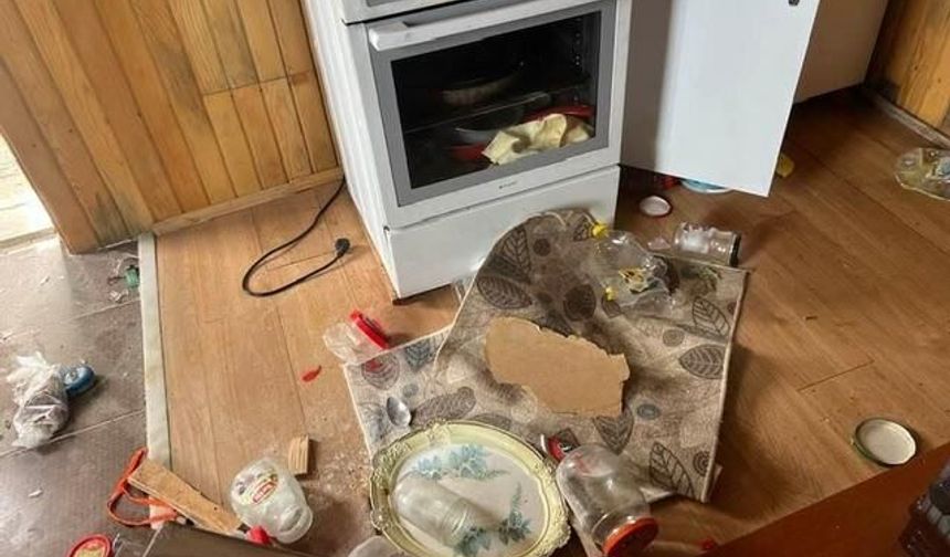 Doğu Karadeniz Yaylalarında Ayı Saldırıları Artıyor