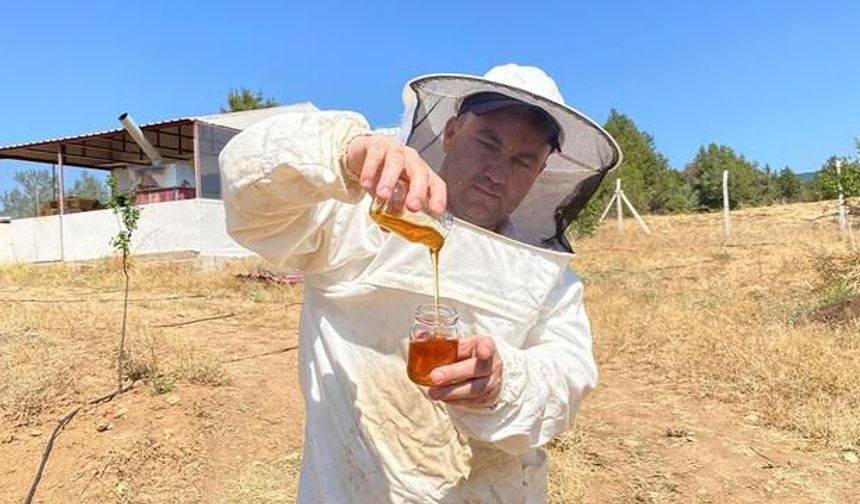 Eskişehir'in Balı Dünyanın En İyisi Seçildi