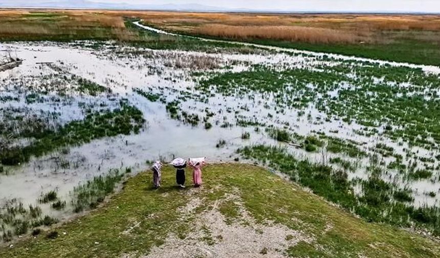 Konya'daki Akşehir Gölü 8 Yıl Aradan Sonra Yeniden Suya Kavuştu