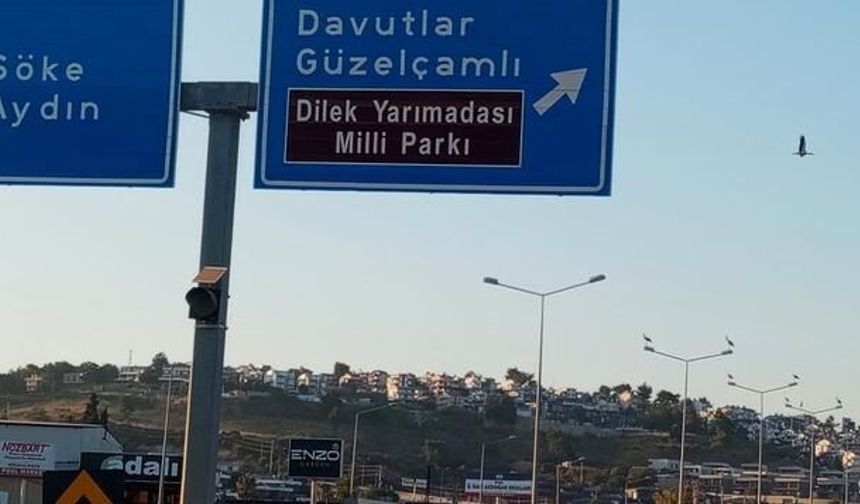 Kuşadası'nda 40 Yıl Sonra Leylek Yuvası Kuruldu