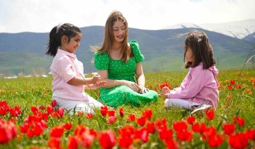 Muş Ovası Endemik Muş Lalesiyle Kırmızıya Büründü
