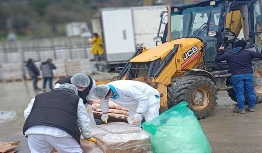 Sakarya'da 32 Ton Tarihi Geçmiş Tavuk Eti Ele Geçirildi