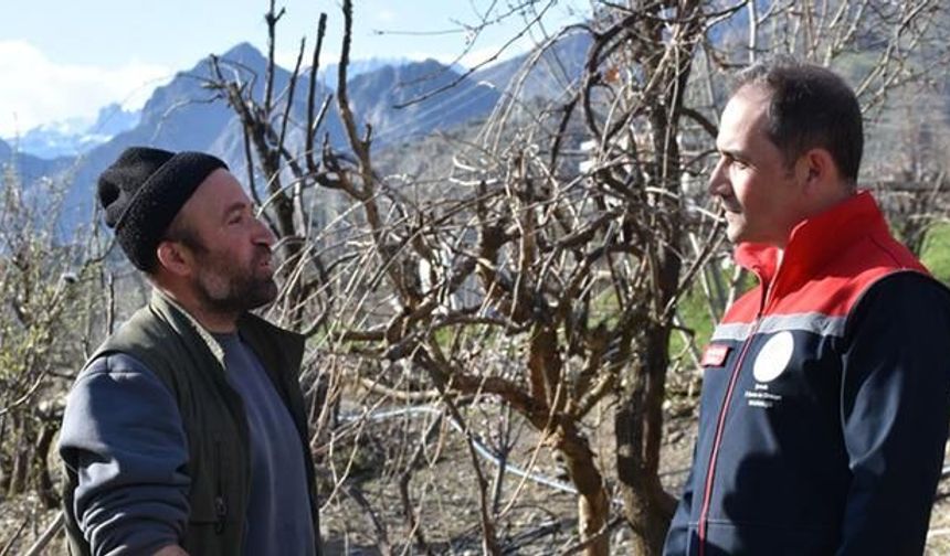 Şırnak'ta Seracılıkla Ailesine Destek Oluyor