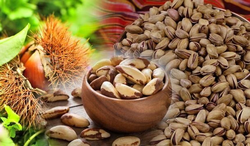 TasteAtlas'ın Dünyanın En İyi Kuruyemişleri Listesinde Türkiye'den 3 Ürün