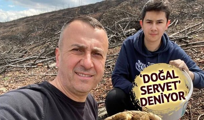 Tavşanlı'da Baba-Oğulun Mantar Avı Zenginliği