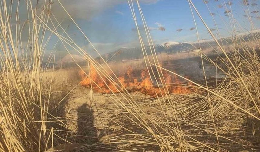 Van Muradiye'de Sazlık Yangını Kontrol Altına Alındı