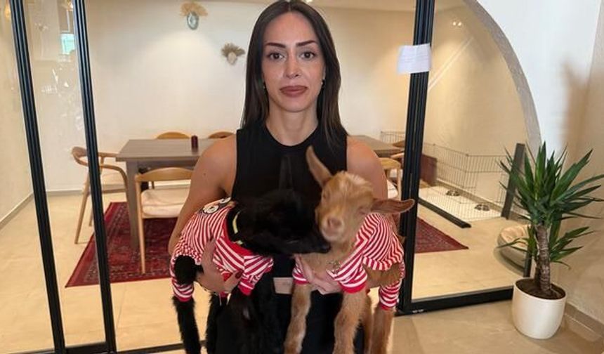 Avcılar'da Kafe Sahibi Kadın, Anneleri Ölen Oğlaklara Sahip Çıktı