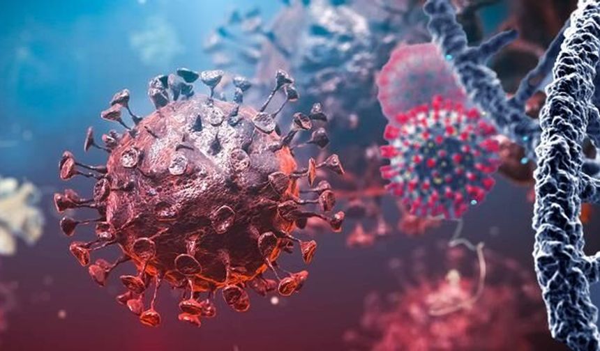 Bahreyn, Ebola Salgını Nedeniyle Üç Afrika Ülkesinden Girişleri 30 Günlüğüne Durdurdu