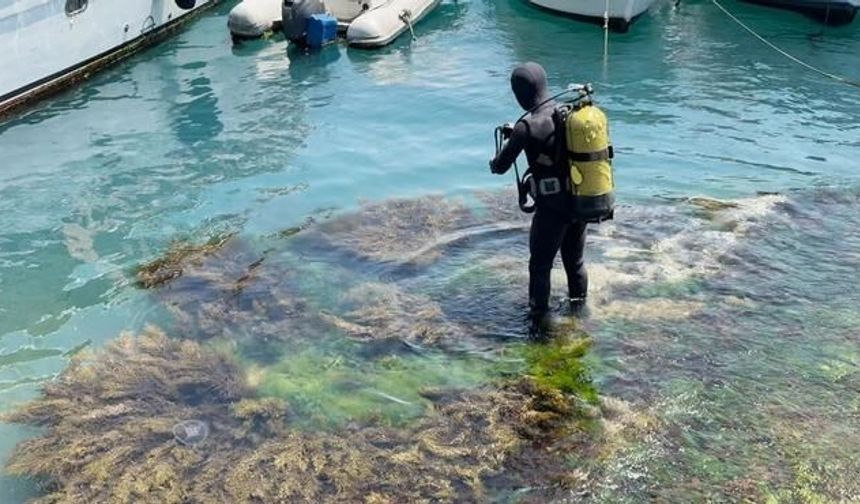 Beşiktaş Arnavutköy Sahili'nde Denize Dalan Kişi 12 Saattir Kayıp